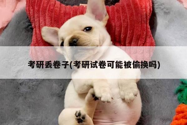 考研丢卷子(考研试卷可能被偷换吗)