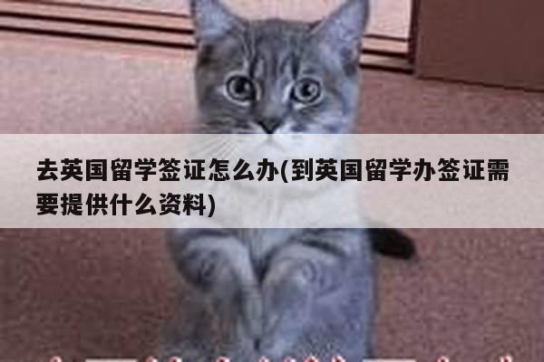 去英国留学签证怎么办(到英国留学办签证需要提供什么资料)