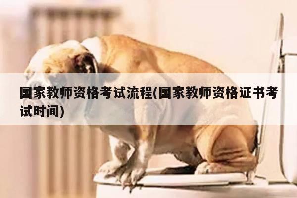 国家教师资格考试流程(国家教师资格证书考试时间)