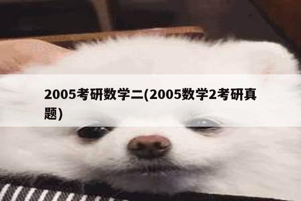 2005考研数学二(2005数学2考研真题)