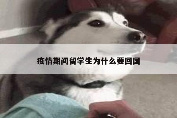 疫情期间留学生为什么要回国