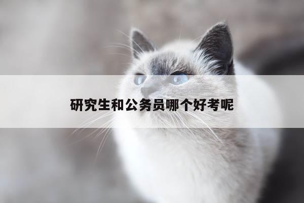 研究生和公务员哪个好考呢