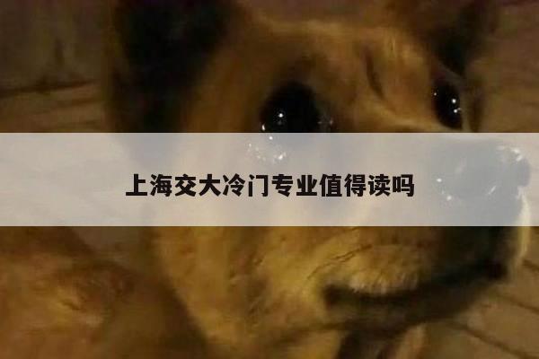 上海交大冷门专业值得读吗