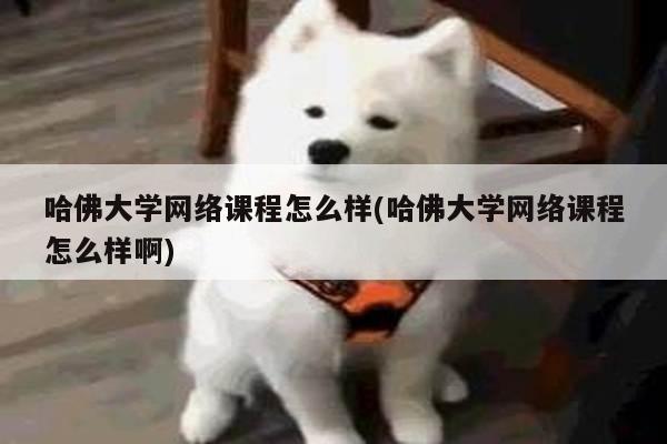 哈佛大学网络课程怎么样(哈佛大学网络课程怎么样啊)