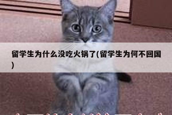 留学生为什么没吃火锅了(留学生为何不回国)