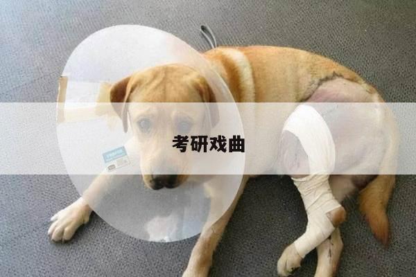 考研戏曲