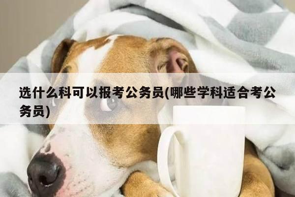 选什么科可以报考公务员(哪些学科适合考公务员)