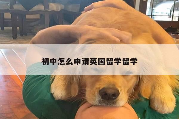 初中怎么申请英国留学留学