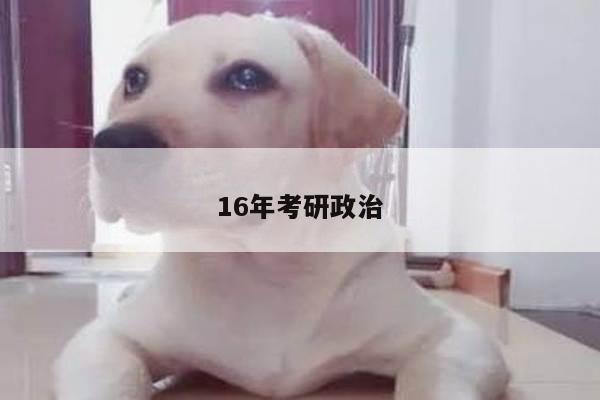 16年考研政治