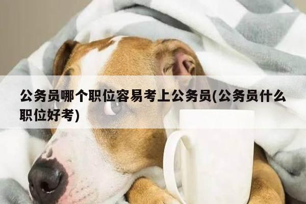 公务员哪个职位容易考上公务员(公务员什么职位好考)
