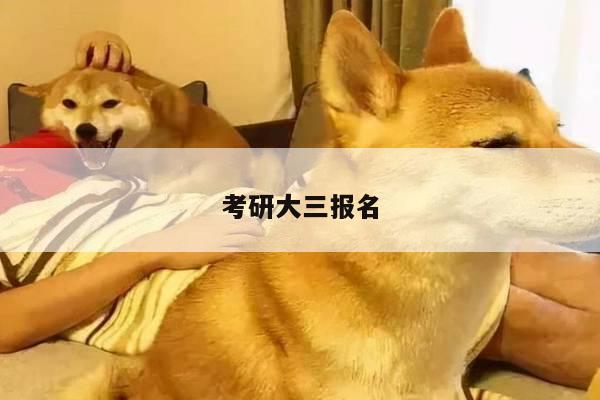 考研大三报名