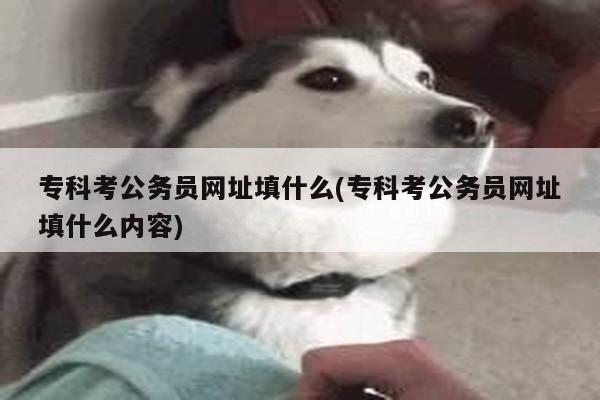 专科考公务员网址填什么(专科考公务员网址填什么内容)