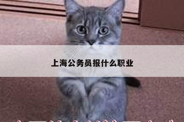 上海公务员报什么职业