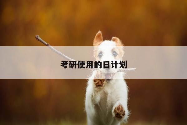 考研使用的日计划