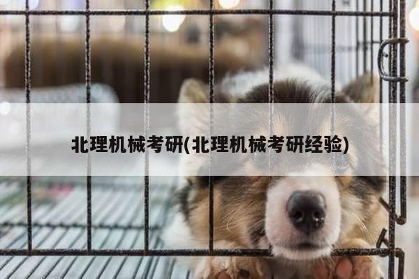 北理机械考研(北理机械考研经验)