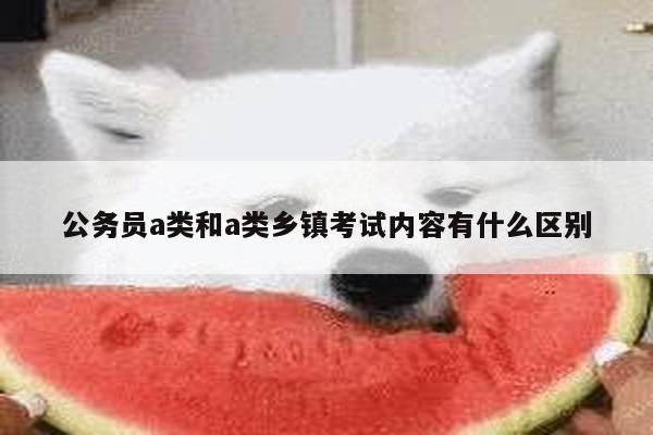 公务员a类和a类乡镇考试内容有什么区别