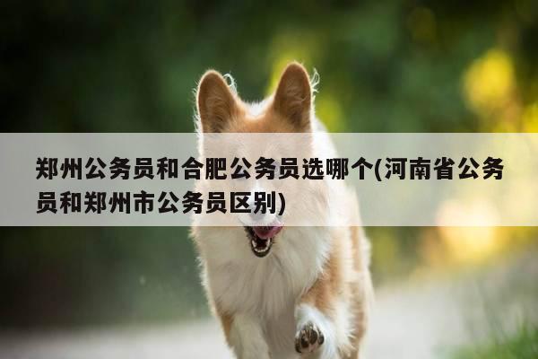 郑州公务员和合肥公务员选哪个(河南省公务员和郑州市公务员区别)