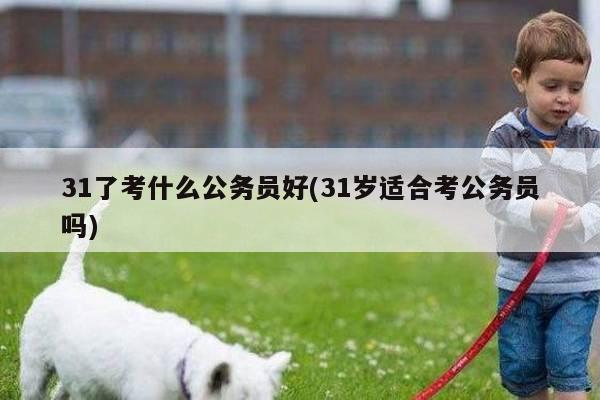 31了考什么公务员好(31岁适合考公务员吗)