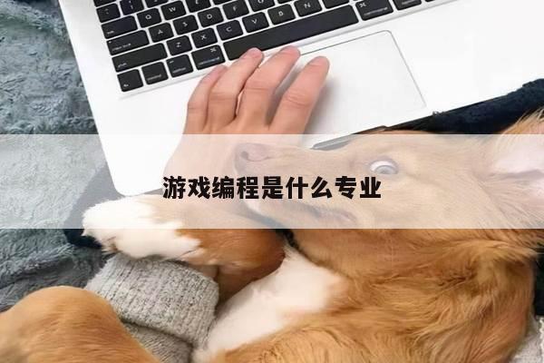 游戏编程是什么专业