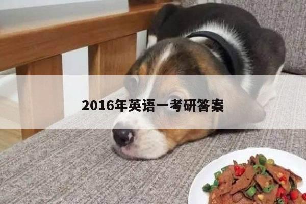 2016年英语一考研答案