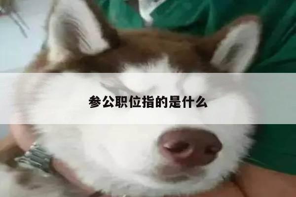 参公职位指的是什么