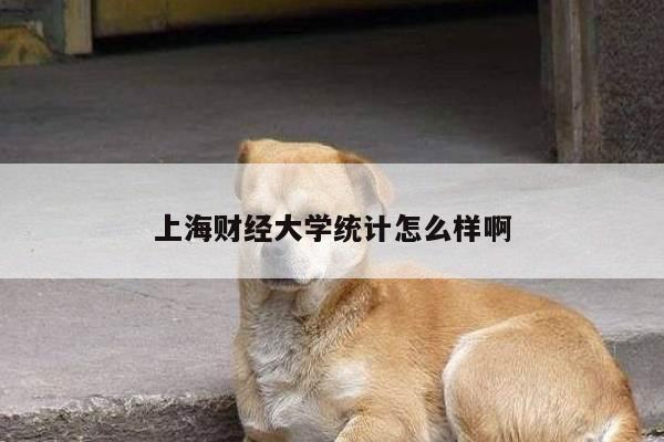 上海财经大学统计怎么样啊