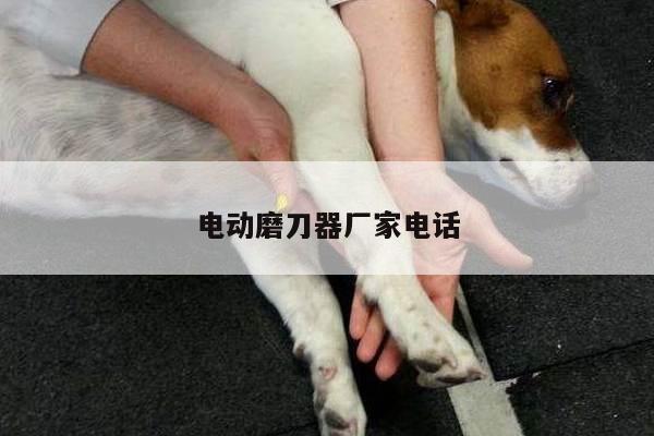 电动磨刀器厂家电话