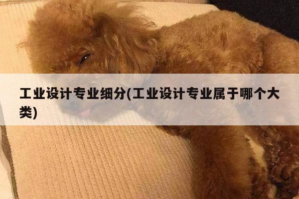 工业设计专业细分(工业设计专业属于哪个大类)