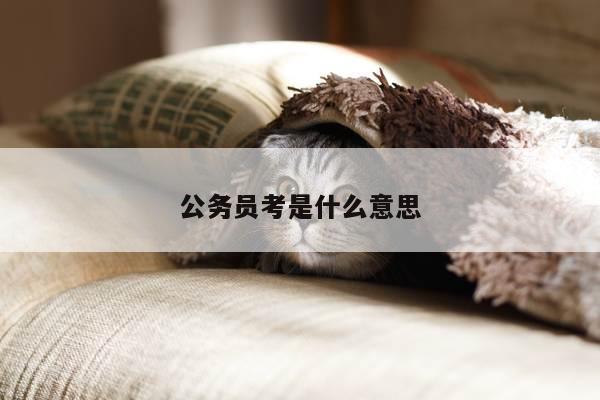 公务员考是什么意思