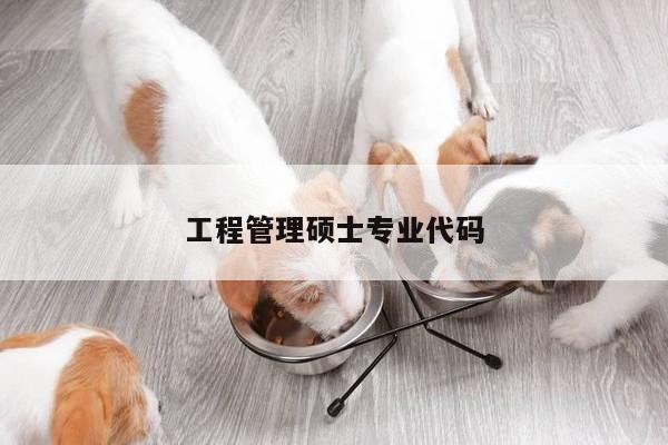工程管理硕士专业代码