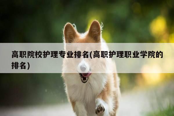 高职院校护理专业排名(高职护理职业学院的排名)