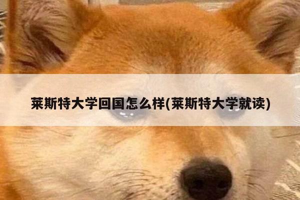 莱斯特大学回国怎么样(莱斯特大学就读)