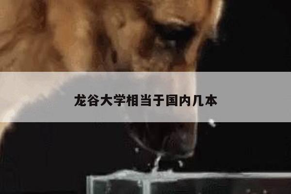龙谷大学相当于国内几本