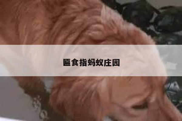 匾食指蚂蚁庄园