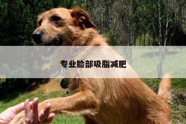 专业脸部吸脂减肥