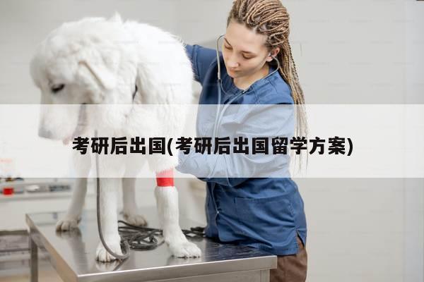 考研后出国(考研后出国留学方案)