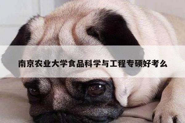 南京农业大学食品科学与工程专硕好考么