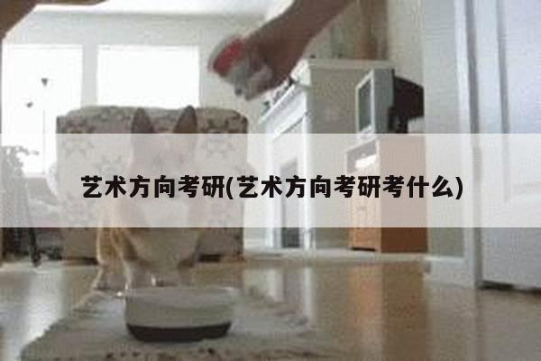 艺术方向考研(艺术方向考研考什么)