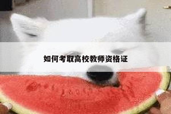 如何考取高校教师资格证