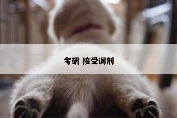 考研 接受调剂