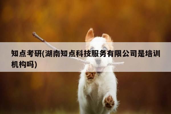 知点考研(湖南知点科技服务有限公司是培训机构吗)