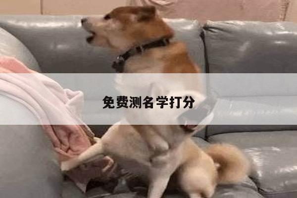 免费测名学打分