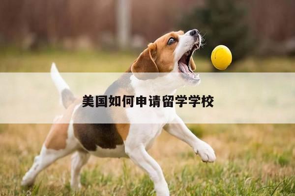 美国如何申请留学学校