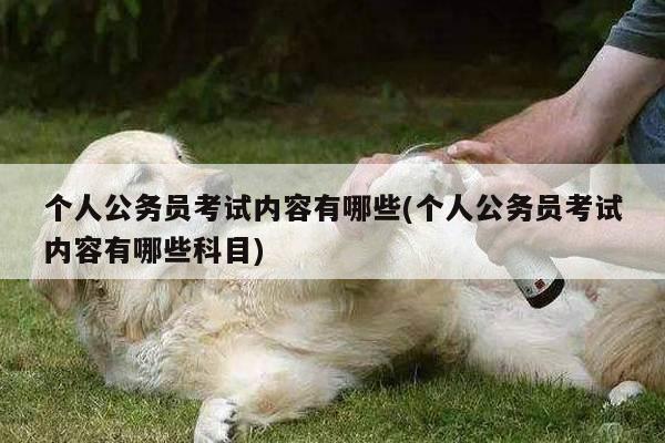 个人公务员考试内容有哪些(个人公务员考试内容有哪些科目)