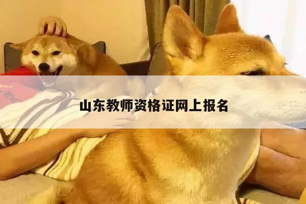 山东教师资格证网上报名
