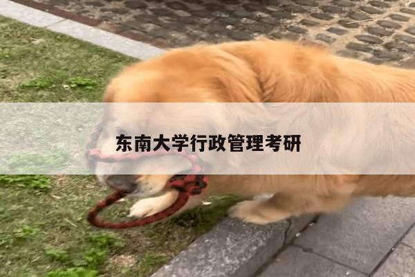 东南大学行政管理考研