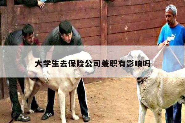 大学生去保险公司兼职有影响吗
