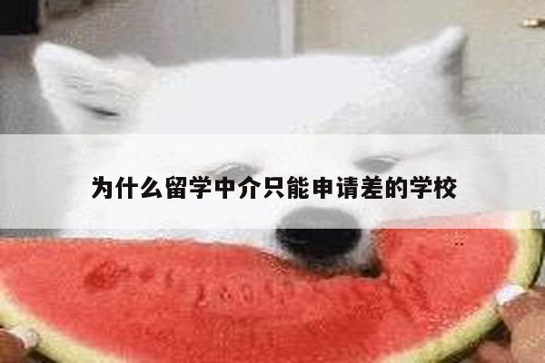 为什么留学中介只能申请差的学校