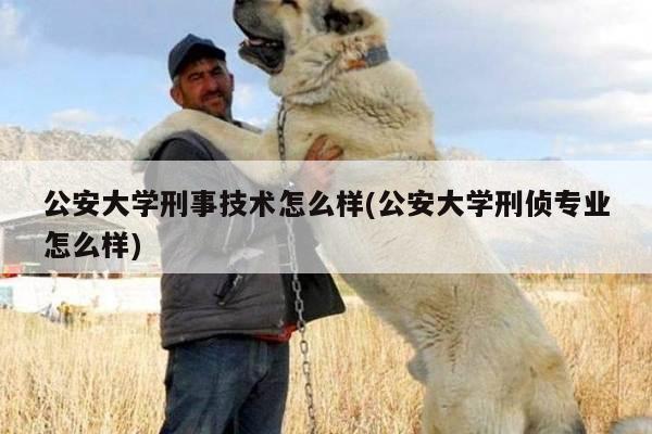 公安大学刑事技术怎么样(公安大学刑侦专业怎么样)