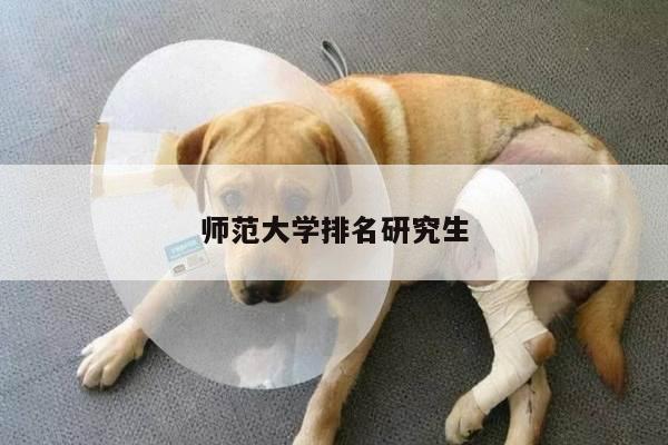 师范大学排名研究生